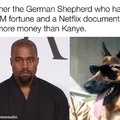 Kanye or this German Shepherd