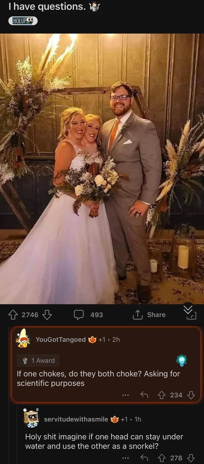 Snorkel Meme By Sakff Memedroid