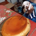 commented item thumbnail