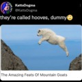 hooves not feats