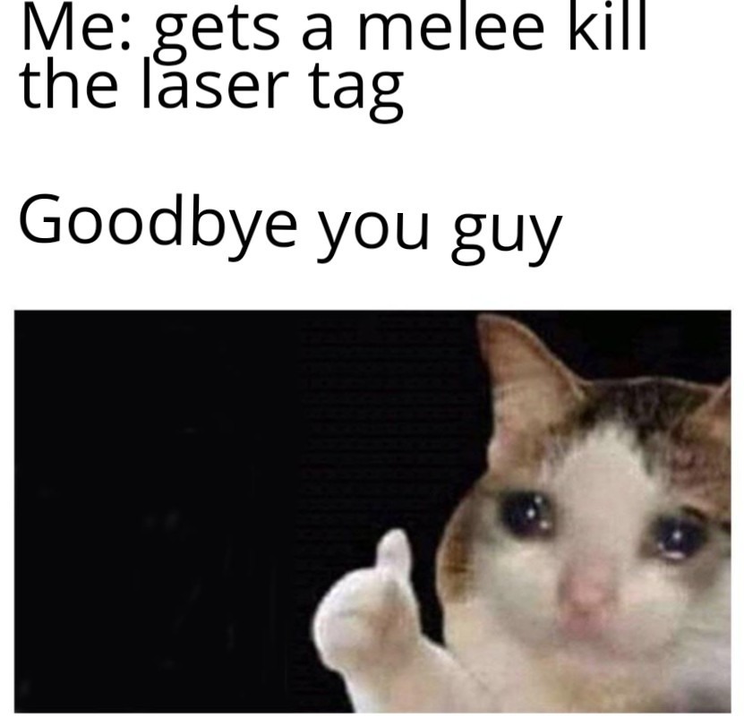 Sad cat - meme