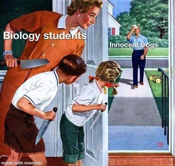 Biology class - meme