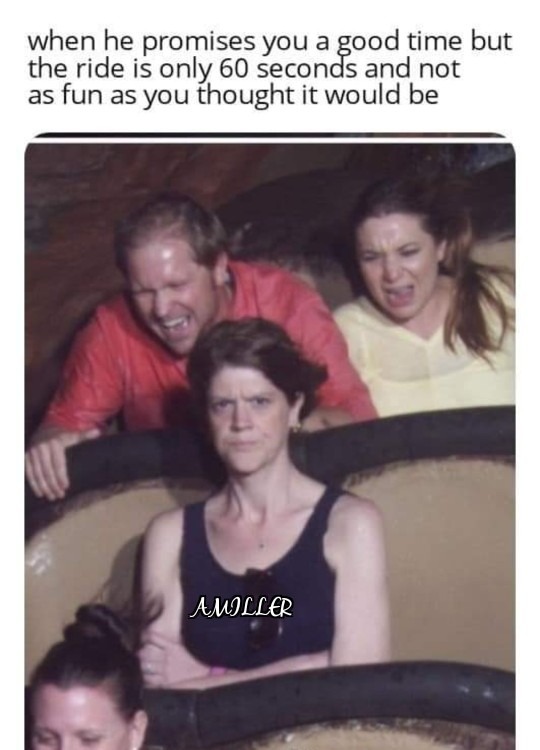 Rollercoaster Ride - meme