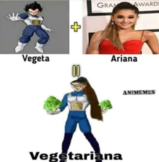Vegana haciendo referencia al anas - meme