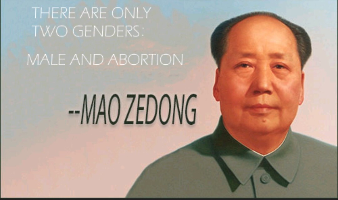 Mao Zedong was worse than hitler - meme
