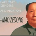 Mao Zedong was worse than hitler