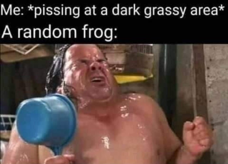 sorry frog - meme