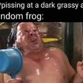 sorry frog