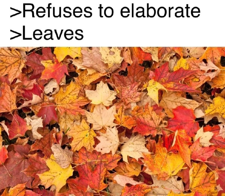 >leaves - meme