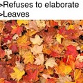 >leaves
