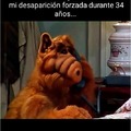 -Alf...Hoy!!!