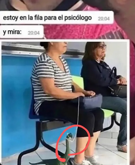 Jaja que bonito - meme