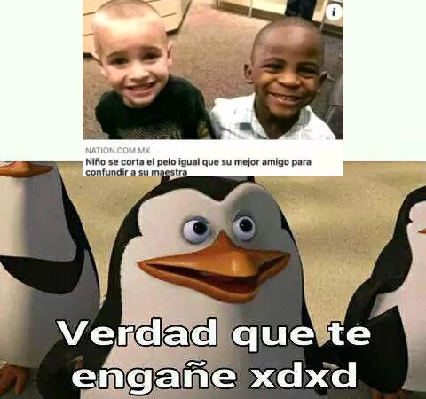 Verdad que te engañé - meme