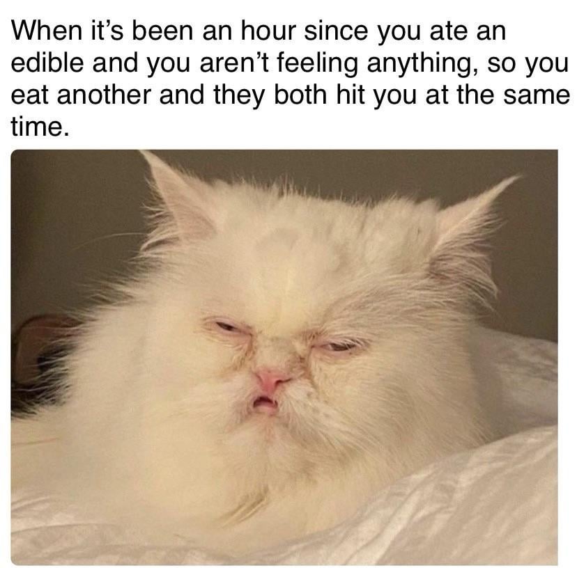 edible time - meme