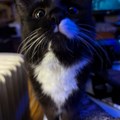 commented item thumbnail