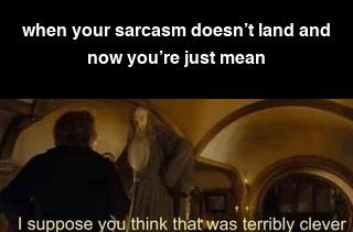 When your sarcasm lands like a brick - meme