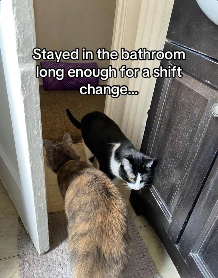 Stayed in the bathroom so long they changed shifts - meme