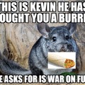 Thank you kevin