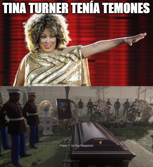 DEP Tina Turner - meme