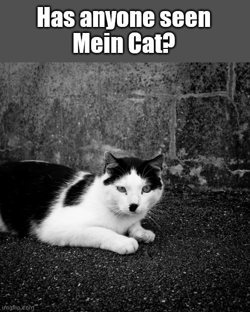 The best German memes ) Memedroid