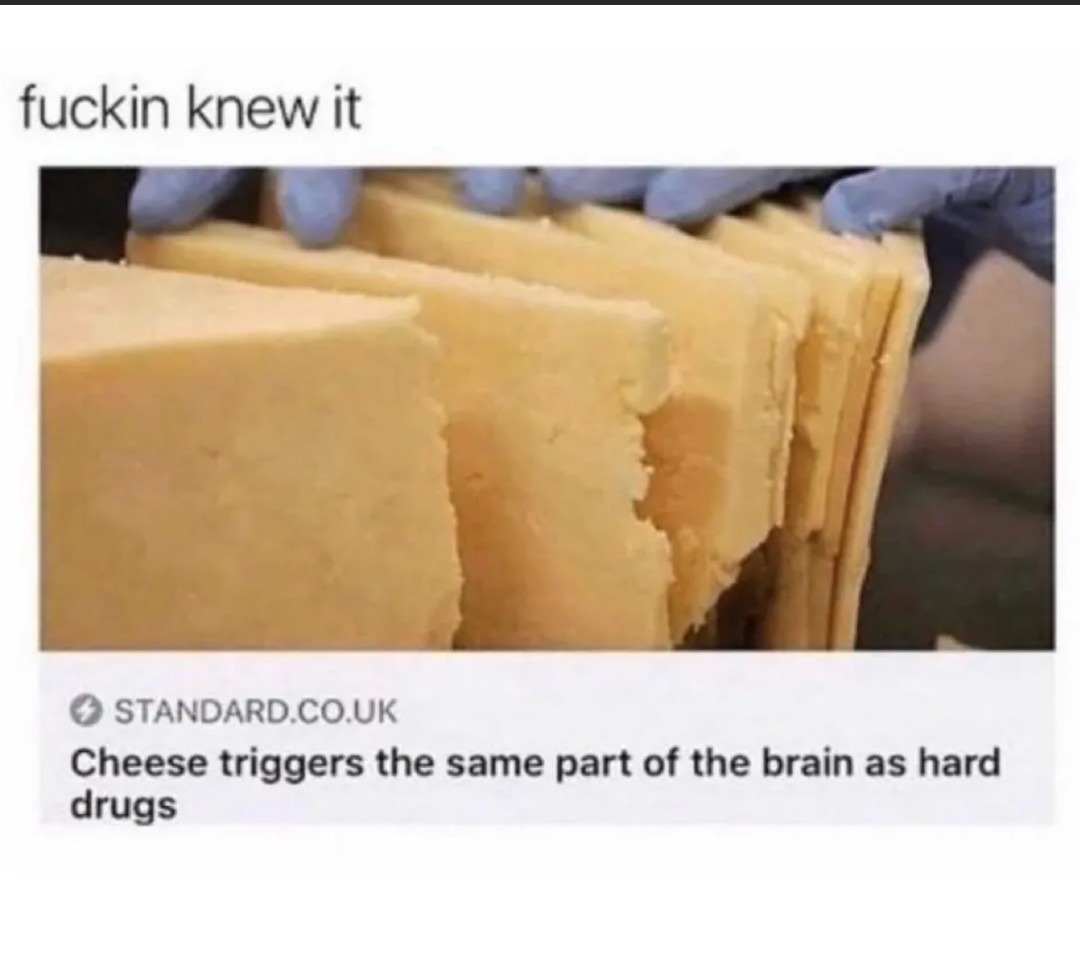 Cheese head - meme