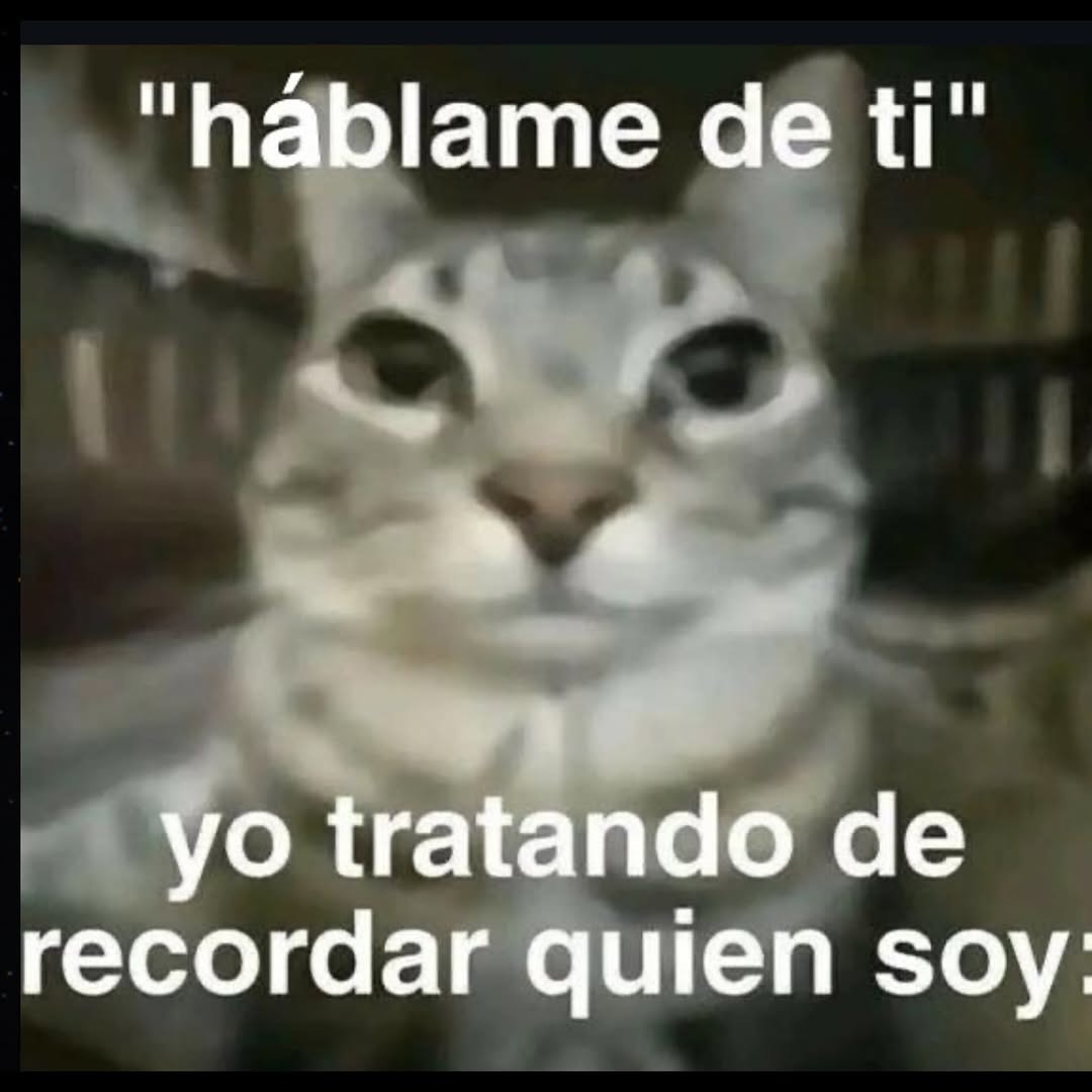 háblame de ti... y yo tratando de recordar quién demonios soy - meme