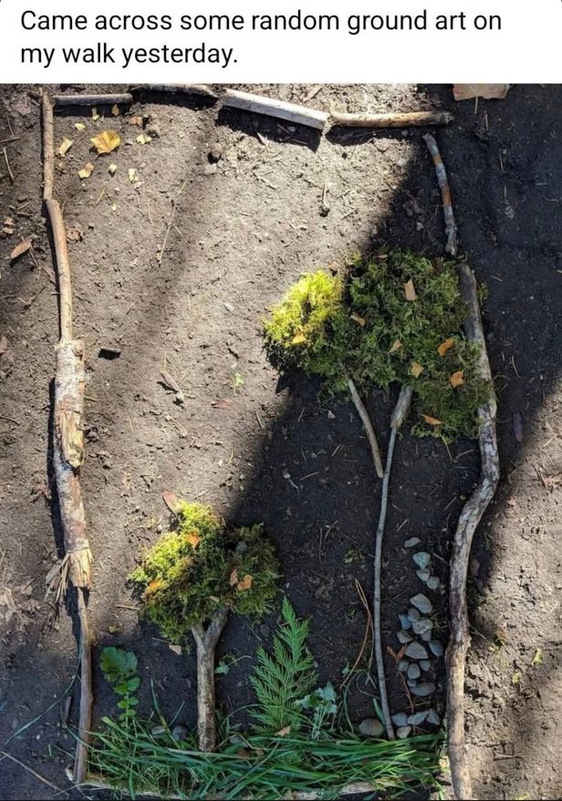 Accidental street art appreciation club - meme