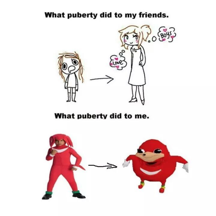 Pubertad - meme
