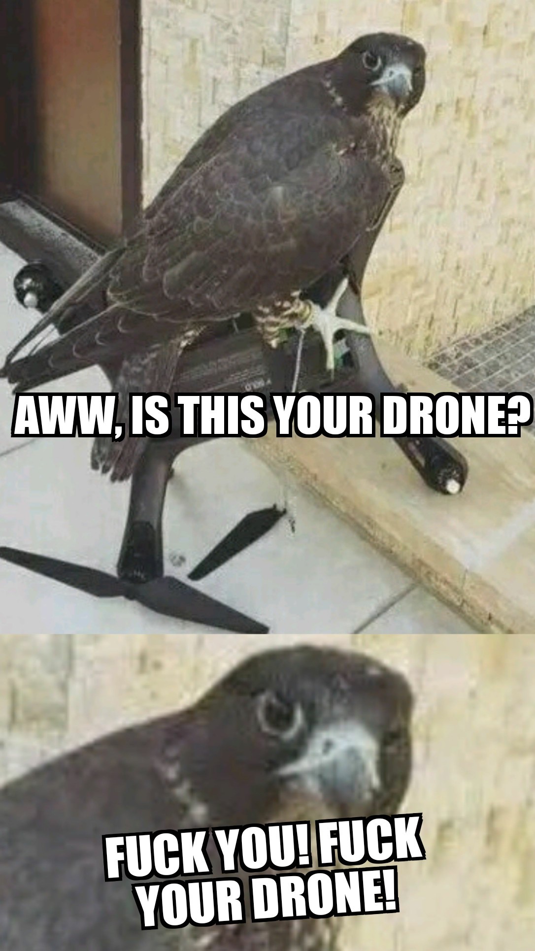 F*CK YOUR DRONE - meme