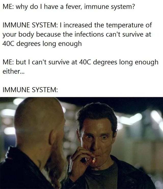 Why do I have a fever, immune system? - meme