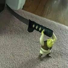 Like and shrek will protect your room tonight - meme