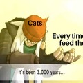Funny cat meme