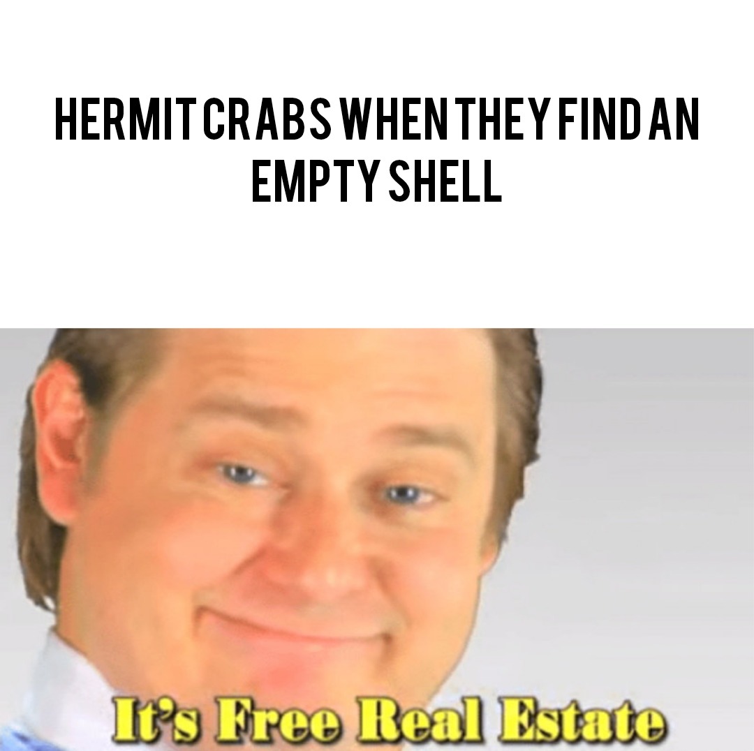 Free home! - meme