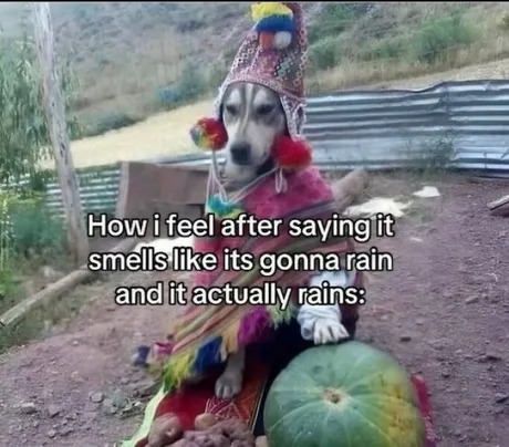 Rain prediction - meme