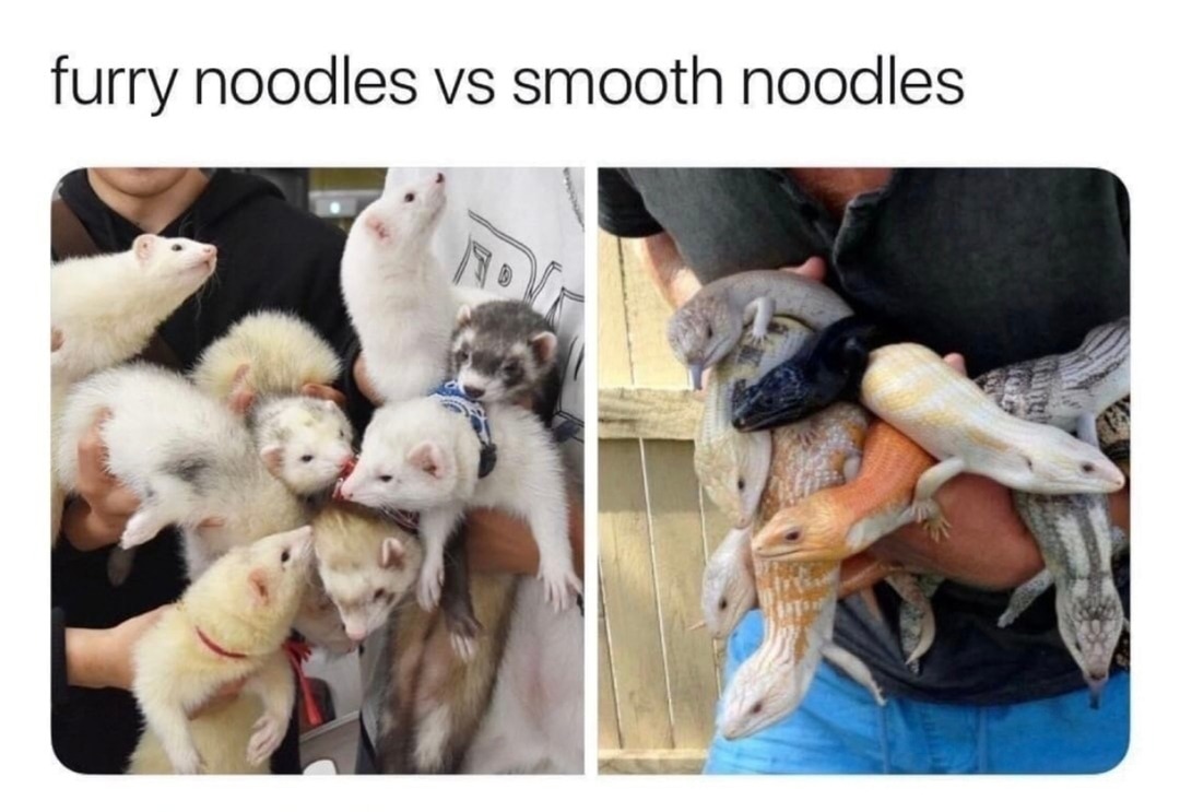Furry noodles vs smooth noodles and suddenly I'm questioning everything - meme