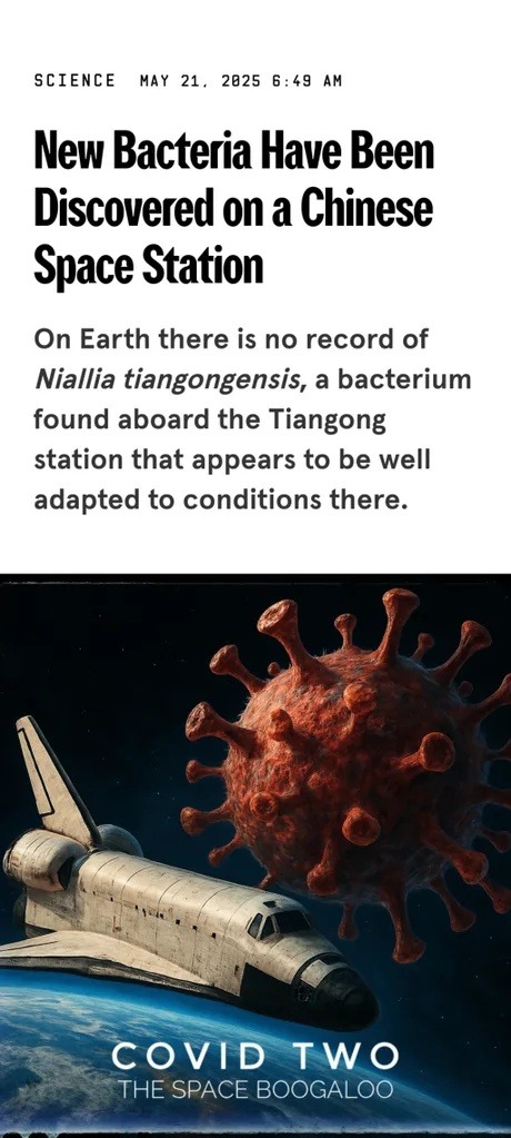 New bacteria discovered in Chinese space station. We're doomed again - meme