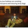 My two hobbies are smoking marijuana and rescuing stray dogs