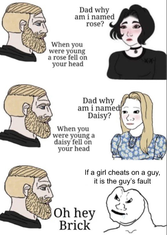 why do girls use so many double standards - meme