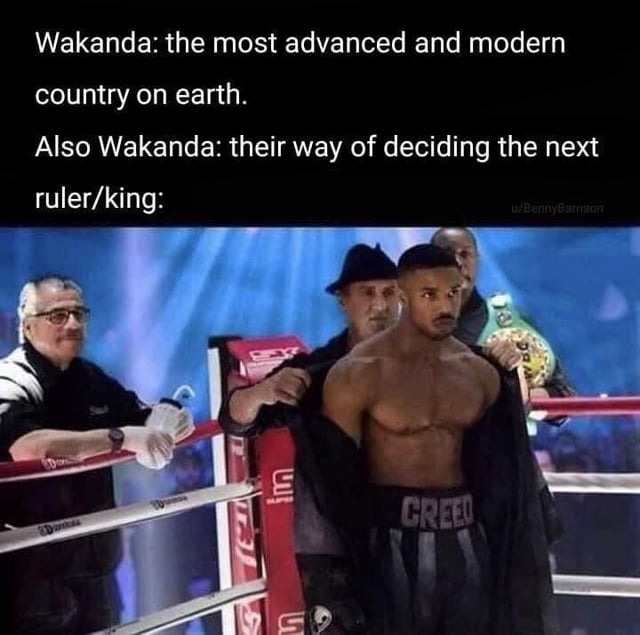 Wakanda deciding the next king - meme