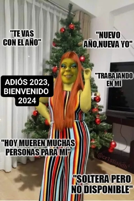Meme de morras en el fin de año 2024