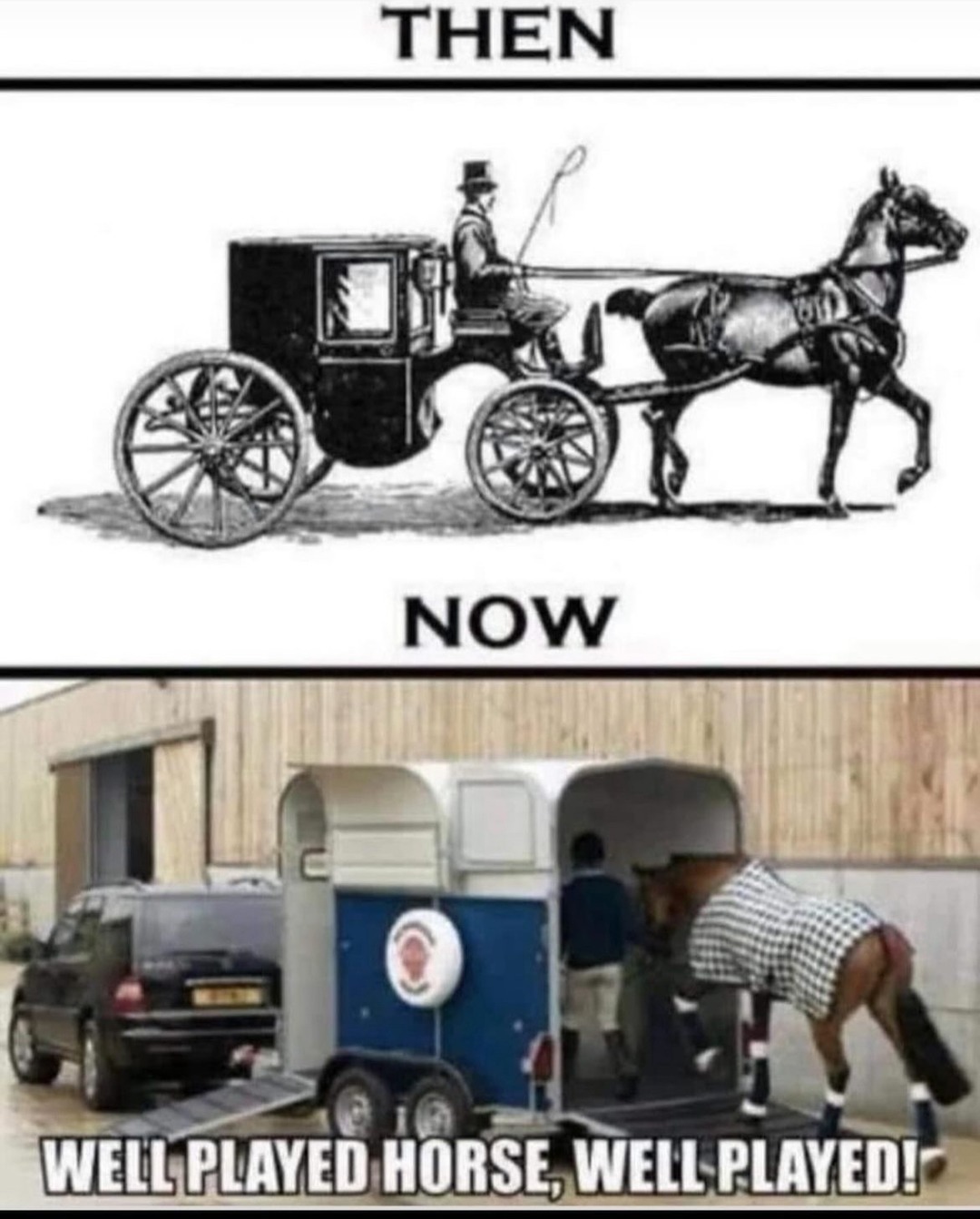 Well Played Horse - meme