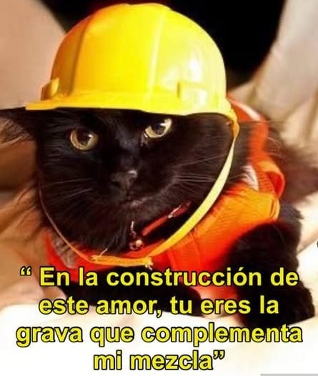 frases para ligar con chicas obreras - meme