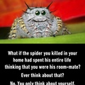Hate spiders.