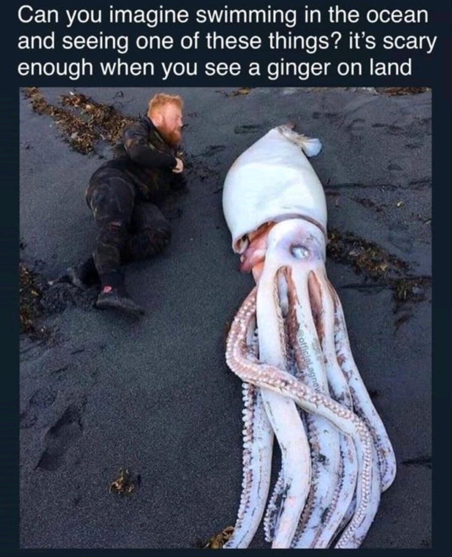 Soulless Ginger Memes Amazon.com: Funny Redhead Facts Soulless Ginger