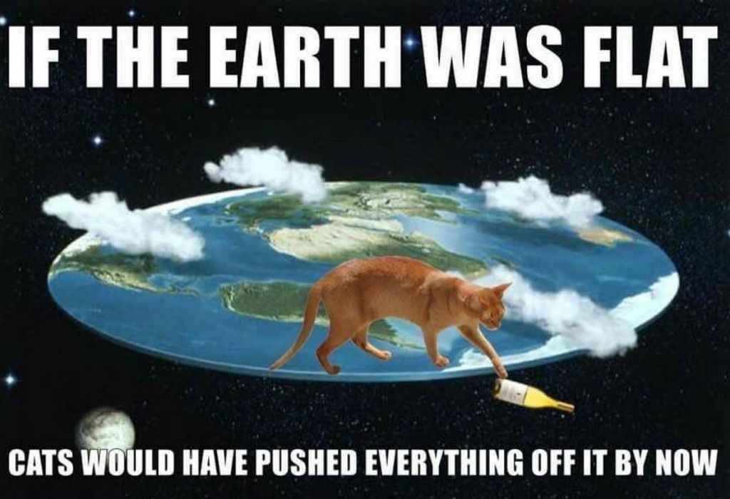 Next time, tell this to a Flat Earther. - meme