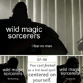 Wild magic sorcerers meme