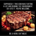 If we weren't meant to eat meat, God wouldn't have made it out of such tasty goodness.
