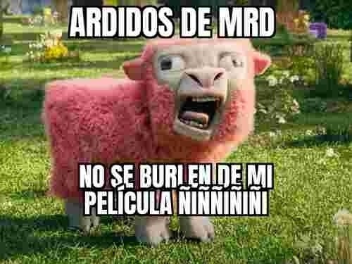 Así se ven xd - meme