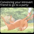 How to convinve your introvert friend to go to a party