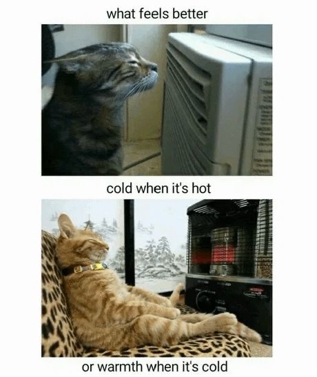 1 or 2 - meme